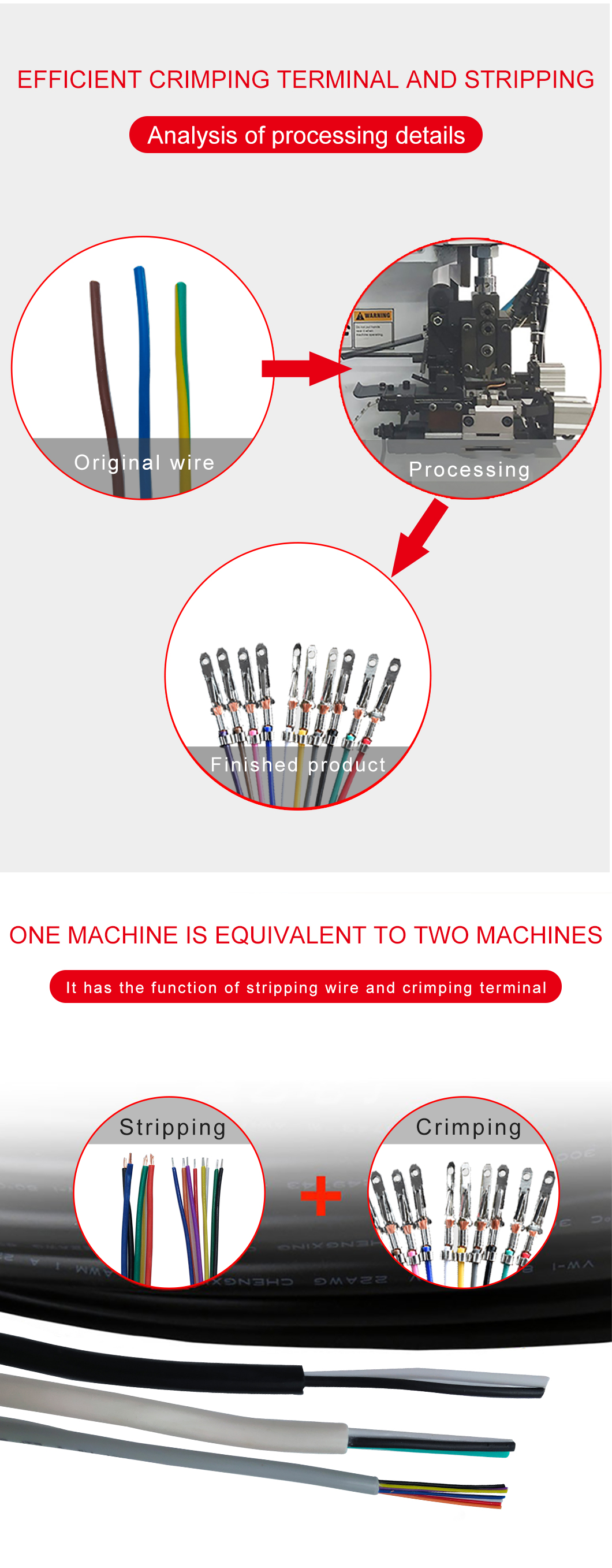 Wire Stripper display